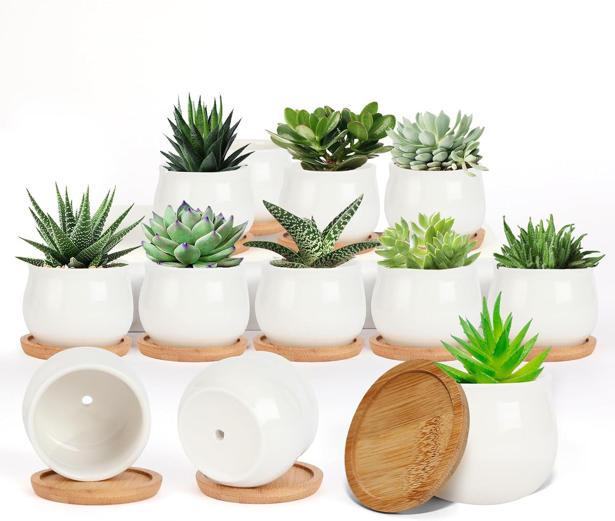 Succulent Plant Pot, White Mini 2.6 inch Ceramic Flower Planter Pot with Bamboo Tray, Pack of 8 - Plants Not Included