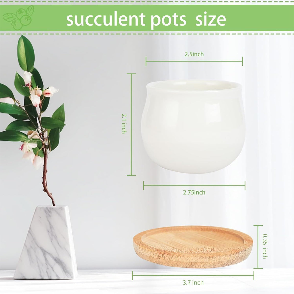 Succulent Plant Pot, White Mini 2.6 inch Ceramic Flower Planter Pot with Bamboo Tray, Pack of 8 - Plants Not Included