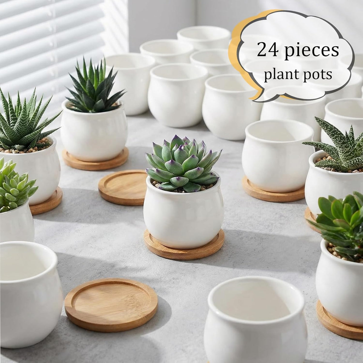 Succulent Plant Pot, White Mini 2.6 inch Ceramic Flower Planter Pot with Bamboo Tray, Pack of 8 - Plants Not Included