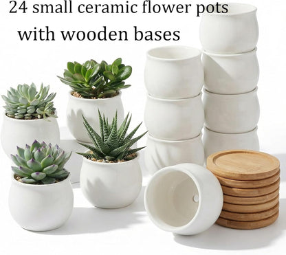 Succulent Plant Pot, White Mini 2.6 inch Ceramic Flower Planter Pot with Bamboo Tray, Pack of 8 - Plants Not Included