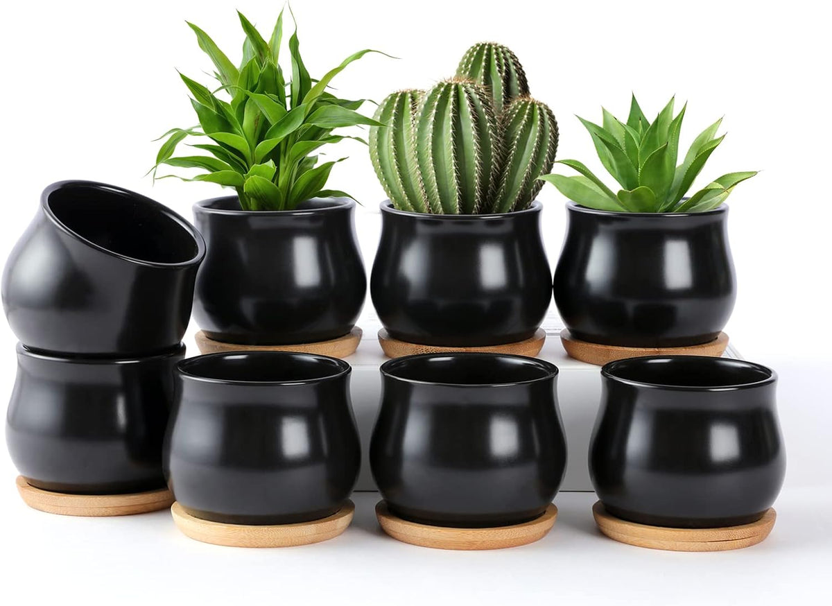 Succulent Plant Pot, White Mini 2.6 inch Ceramic Flower Planter Pot with Bamboo Tray, Pack of 8 - Plants Not Included