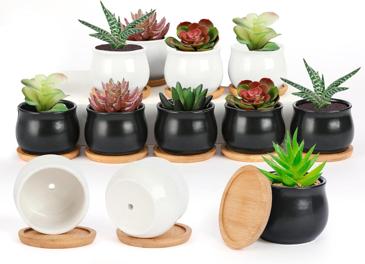 Succulent Plant Pot, White Mini 2.6 inch Ceramic Flower Planter Pot with Bamboo Tray, Pack of 8 - Plants Not Included