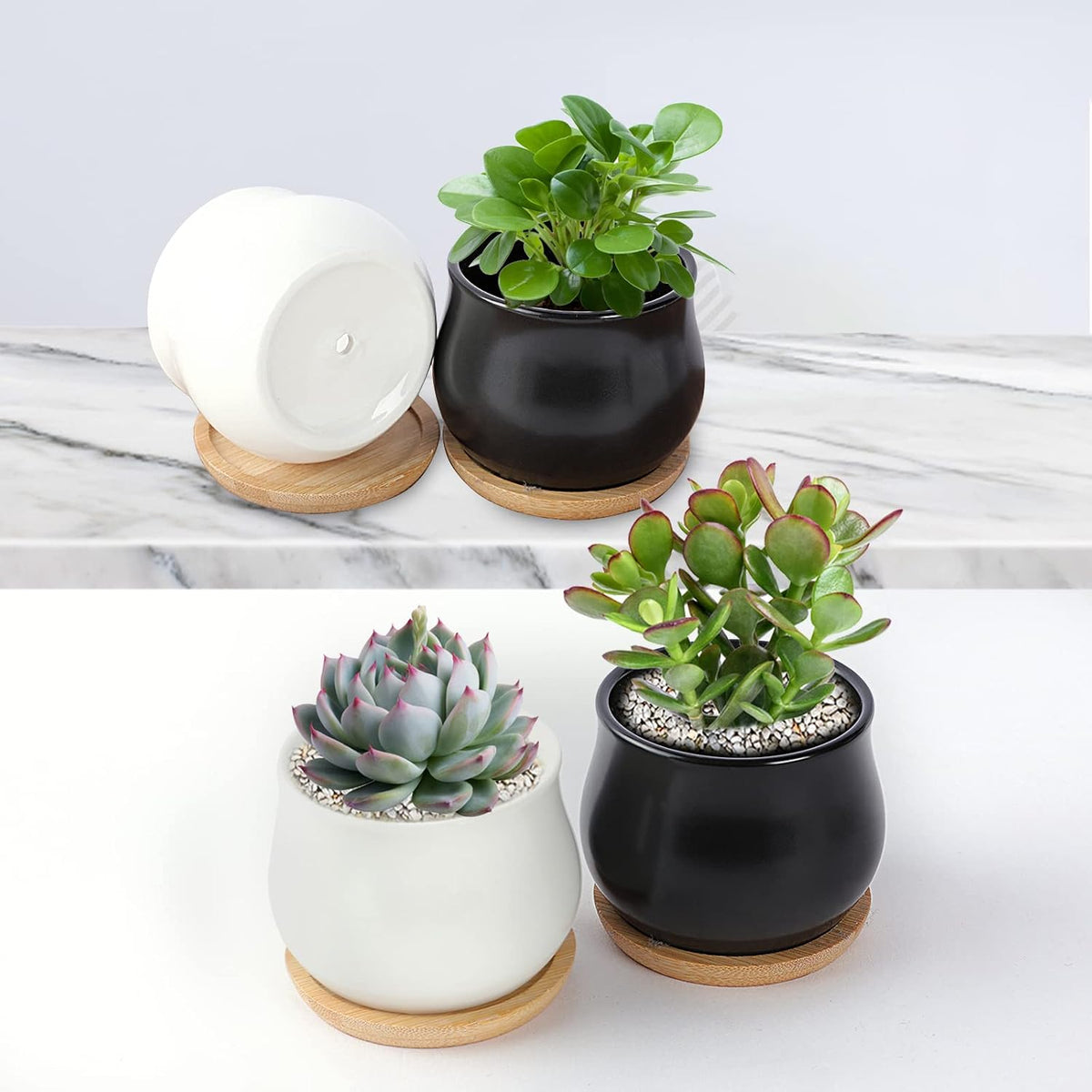 Succulent Plant Pot, White Mini 2.6 inch Ceramic Flower Planter Pot with Bamboo Tray, Pack of 8 - Plants Not Included