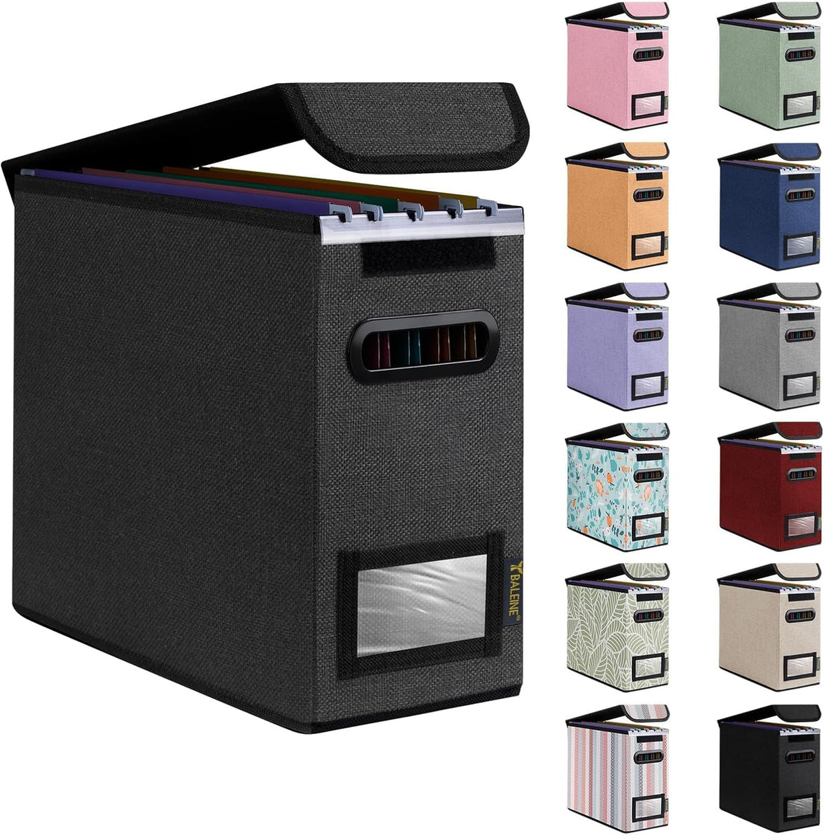 BALEINE File Organizer Box with Lid, Collapsible File Folder Organizer with Plastic Slide, Hanging File Folder Box for Office Document Storage (Black)