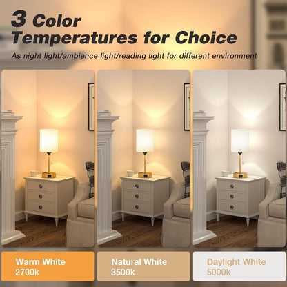 Dicoool Bedside Table Lamp for Bedroom - Small Desk Lamp with USB Ports