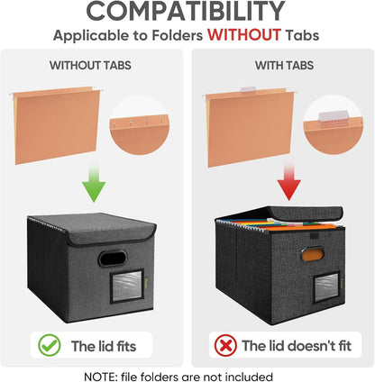 BALEINE File Organizer Box with Lid, Collapsible File Folder Organizer with Plastic Slide, Hanging File Folder Box for Office Document Storage (Black)