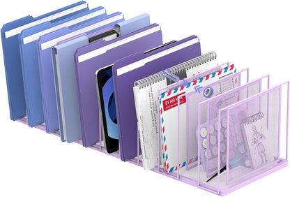 File Organizer for Desk, 5-Section Vertical File Sorter, Paper Holder Organizer Standing Metal File Folder for Office Home Classroom, Black