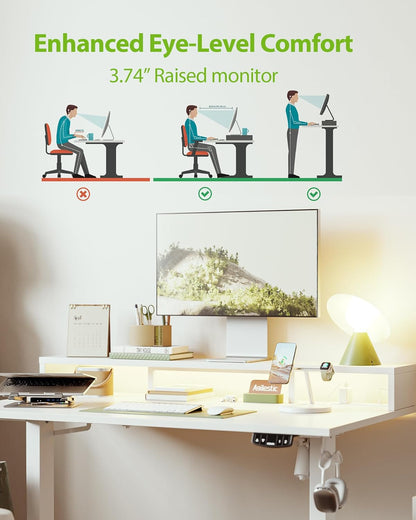 48 * 24 Inch Electric Standing Desk with Shelf & Led, Dark Walnut