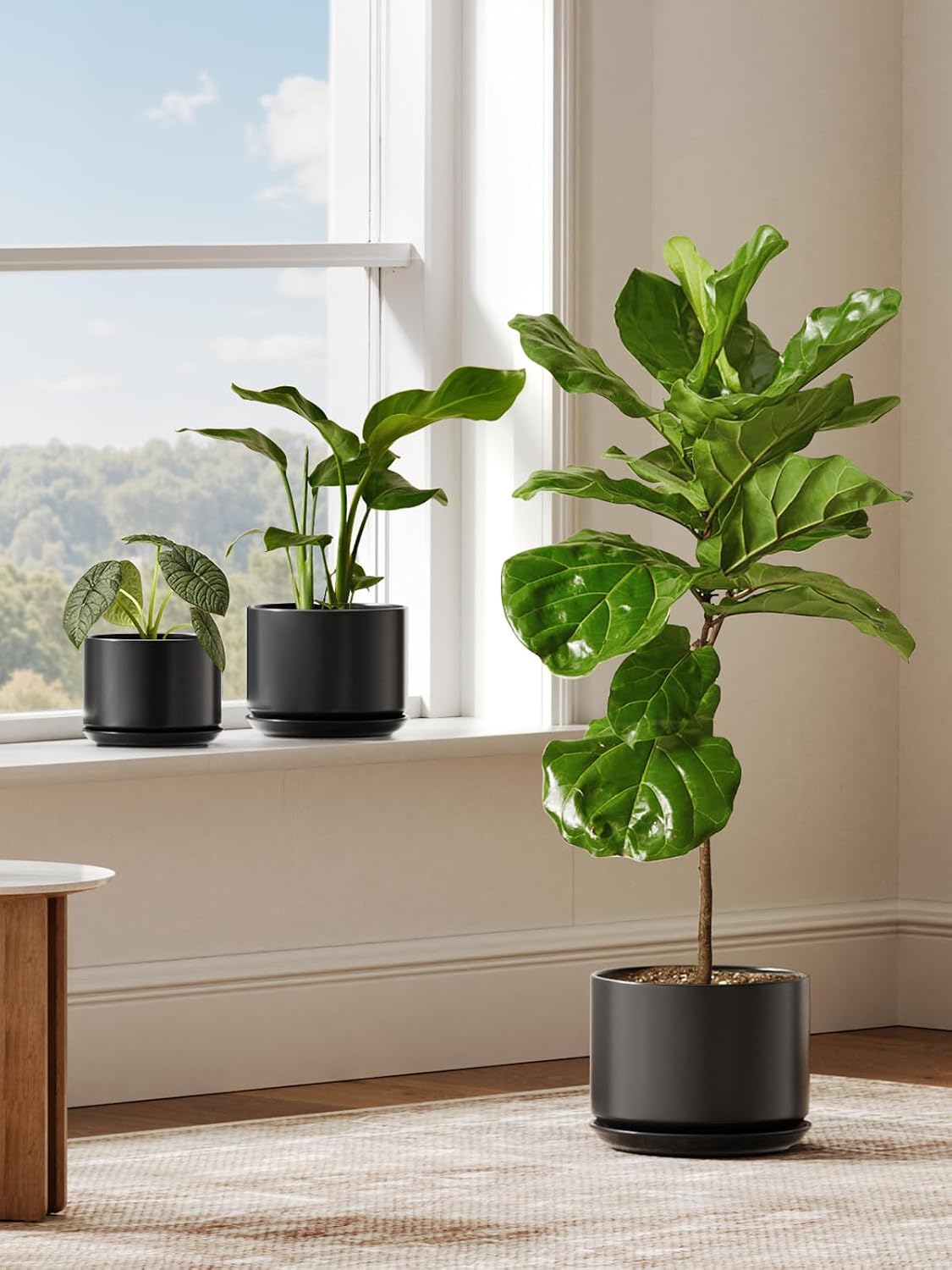 LE TAUCI Ceramic Pots for Plants, 6.8 Inch Plant Pots with Drainage Hole & Saucer, Modern Planter for Indoor Plants, Stable & Durable, Perfect for Living Room or Office Decor, White