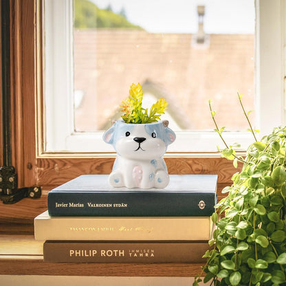 DIYOMR Cute Animals Planter, Mini Ceramic Cartoon Animal Shaped Succulent Flower Pot Indoor Air Plants Holder, Smooth Shiny Decorative Flower Cactus Planter - Plants Not Included (Panda)