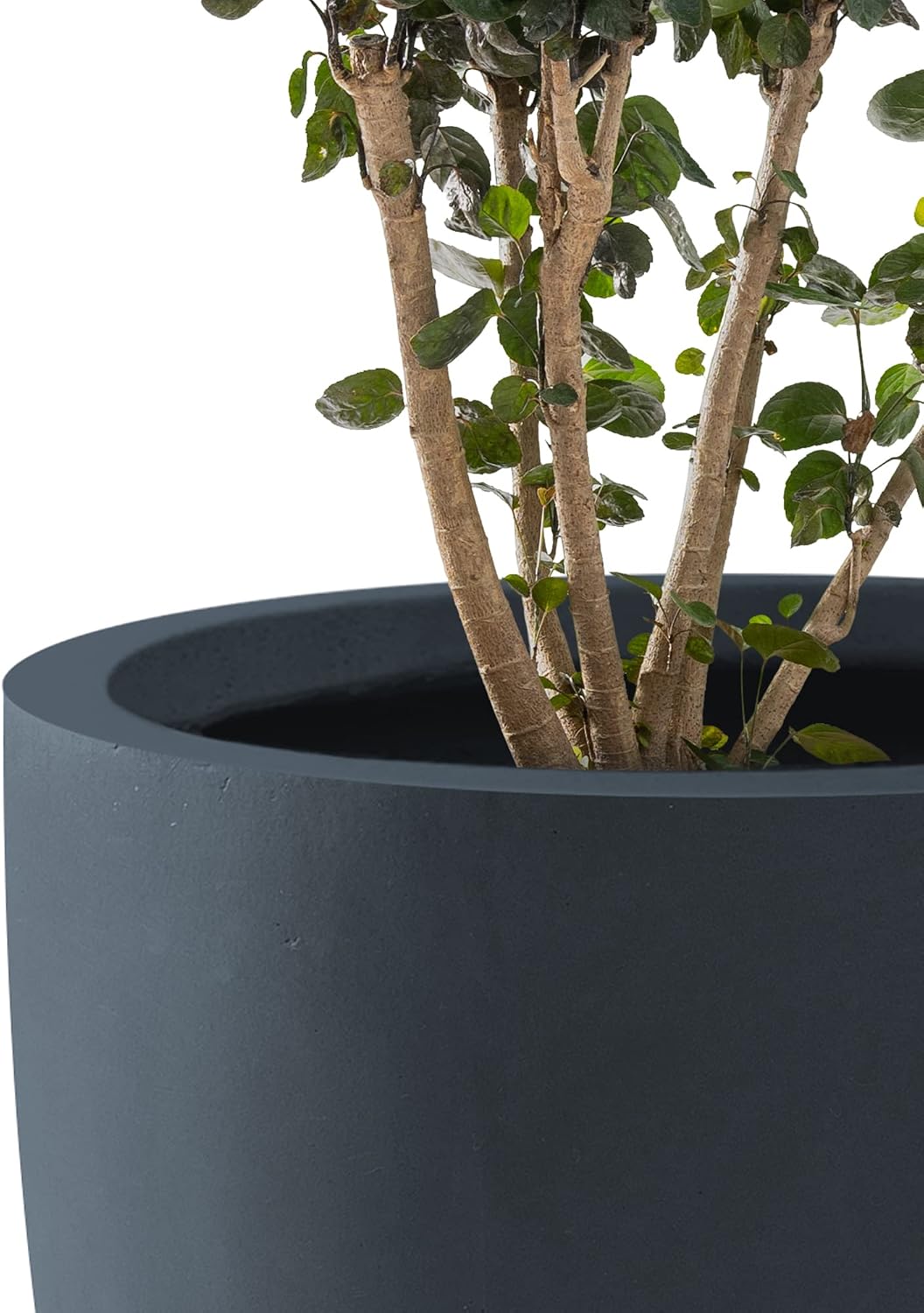 Kante 8.9" H x 10" W Small Concrete Planter, Compact Desktop Plant Pot with Drainage Hole & Rubber Plug – Lightweight Breathable Cement Container for Succulents, Cactus, Herbs, Indoor Outdoor, Gift