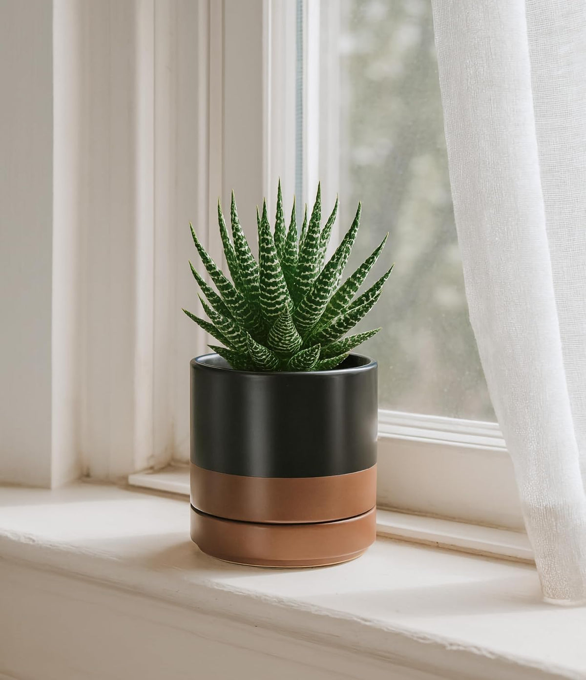 D'vine Dev 4.7 Inch Ceramic Planter Pot with Drainage Hole and Saucer, Indoor Cylinder Round Planter Pot, Teal, 94-O-B-9
