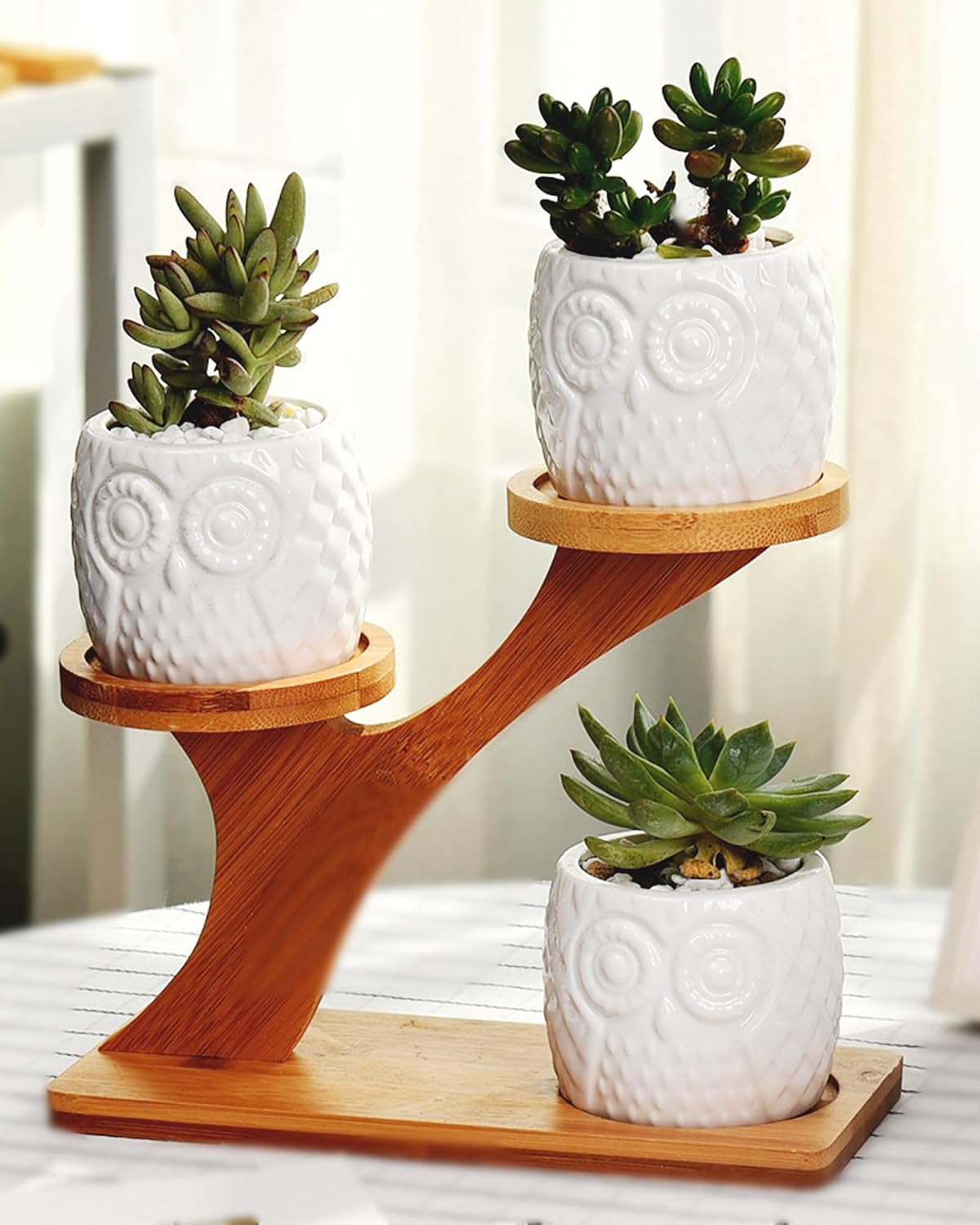 FLOWERPLUS Planter Pots Indoor, 3 Pack 3 Inch White Ceramic Decorative Small Owl Succulent Cactus Flower Plant Pot with Tree Tier Bamboo Stand for Garden Kitchen Home Office Desk Decorations