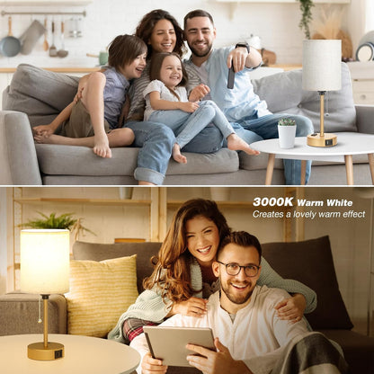 Dicoool Bedside Table Lamp for Bedroom - Small Desk Lamp with USB Ports