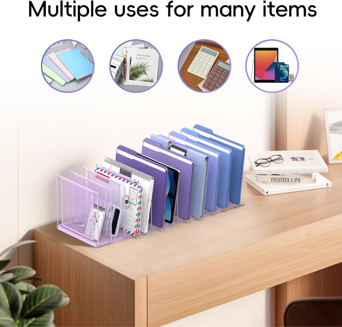 File Organizer for Desk, 5-Section Vertical File Sorter, Paper Holder Organizer Standing Metal File Folder for Office Home Classroom, Black