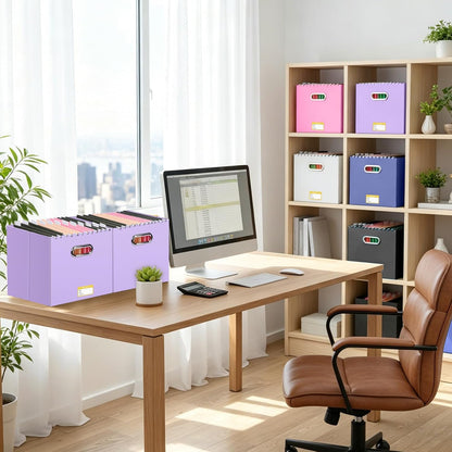 BALEINE File Organizer Box, Cardboard File Folder Organizer with Handle for Letter Size, Portable Collapsible Hanging Filing Box for Home Office Document Storage (2 Pack, Black)