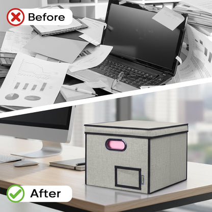 BALEINE File Organizer Box with Lid, Collapsible File Folder Organizer with Plastic Slide, Hanging File Folder Box for Office Document Storage (Black)