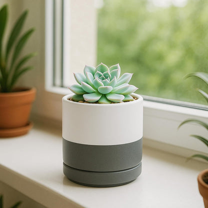 D'vine Dev 4.7 Inch Ceramic Planter Pot with Drainage Hole and Saucer, Indoor Cylinder Round Planter Pot, Teal, 94-O-B-9