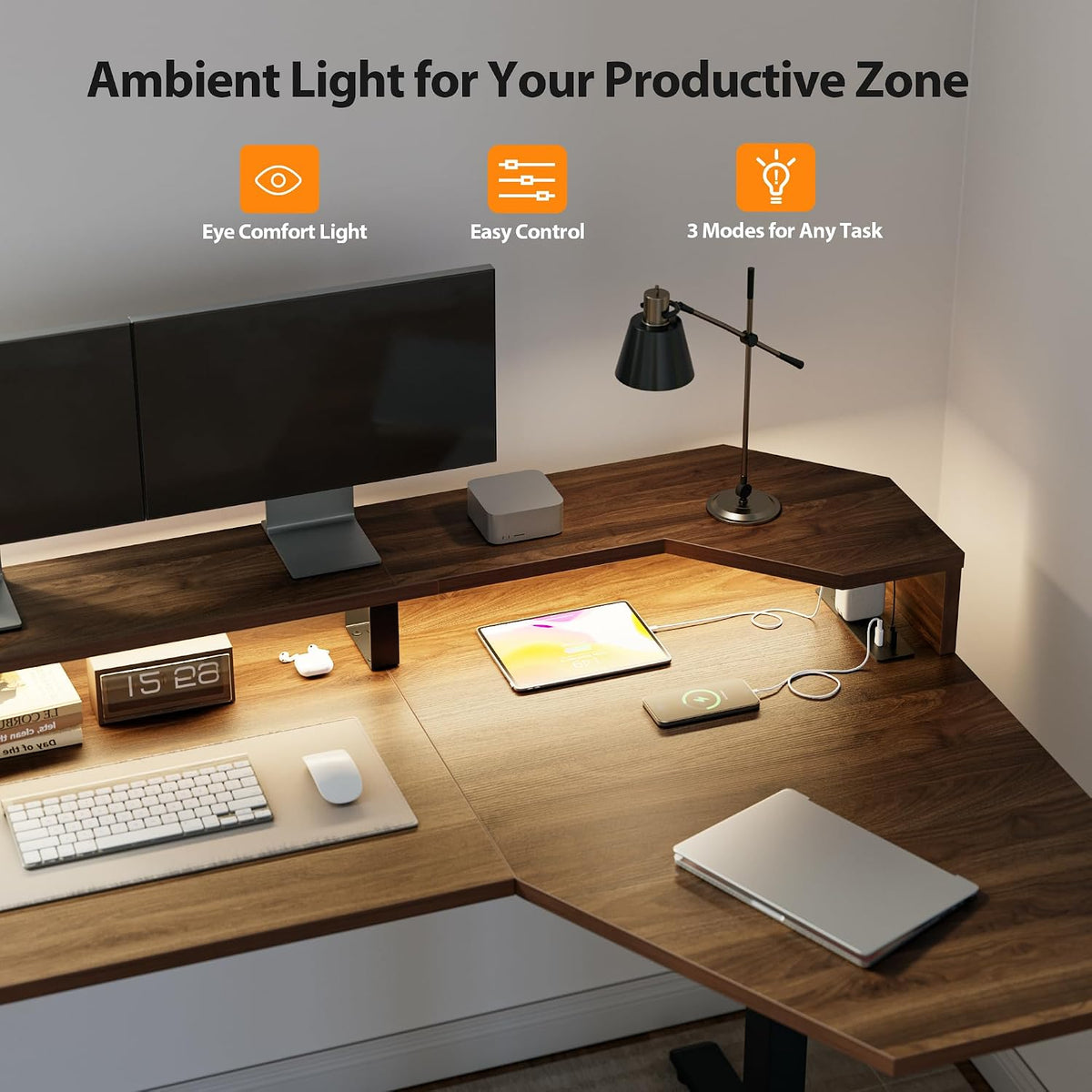 48 * 24 Inch Electric Standing Desk with Shelf & Led, Dark Walnut