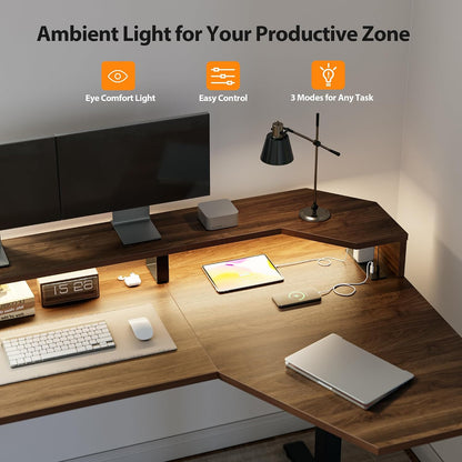 48 * 24 Inch Electric Standing Desk with Shelf & Led, Dark Walnut