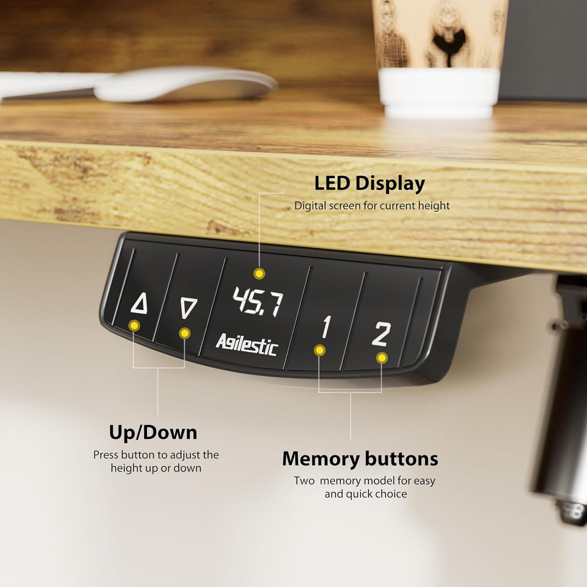 48 * 24 Inch Electric Standing Desk with Shelf & Led, Dark Walnut
