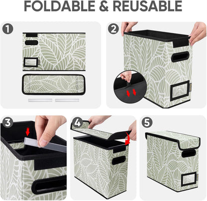 BALEINE File Organizer Box with Lid, Collapsible File Folder Organizer with Plastic Slide, Hanging File Folder Box for Office Document Storage (Black)