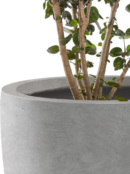 Kante 8.9" H x 10" W Small Concrete Planter, Compact Desktop Plant Pot with Drainage Hole & Rubber Plug – Lightweight Breathable Cement Container for Succulents, Cactus, Herbs, Indoor Outdoor, Gift