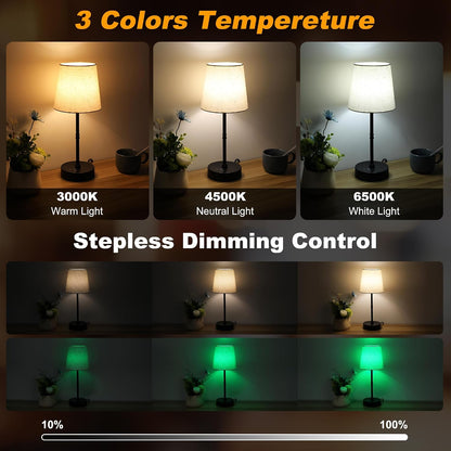 Ascher Small Bedside Table lamp, RGB Color Changing Lamps, 3 Color Temperatures, Dimmable Nightstand Lamp with USB C+A Ports, Touch Desk Lamp for Bedroom Living Room, H11.4in(Flaxen Shade)