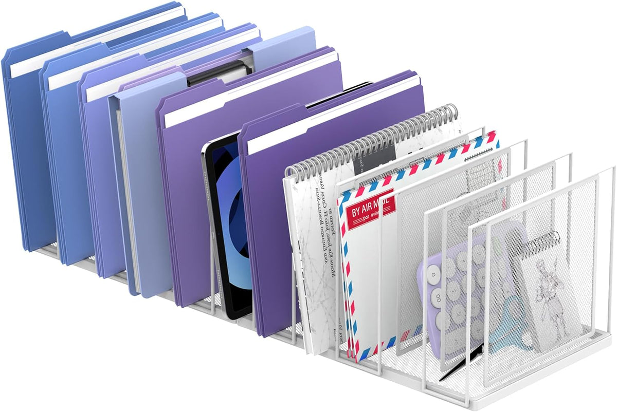File Organizer for Desk, 5-Section Vertical File Sorter, Paper Holder Organizer Standing Metal File Folder for Office Home Classroom, Black