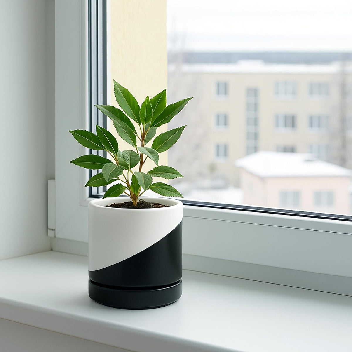 D'vine Dev 4.7 Inch Ceramic Planter Pot with Drainage Hole and Saucer, Indoor Cylinder Round Planter Pot, Teal, 94-O-B-9