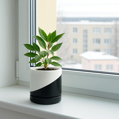 D'vine Dev 4.7 Inch Ceramic Planter Pot with Drainage Hole and Saucer, Indoor Cylinder Round Planter Pot, Teal, 94-O-B-9