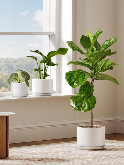 LE TAUCI Ceramic Pots for Plants, 6.8 Inch Plant Pots with Drainage Hole & Saucer, Modern Planter for Indoor Plants, Stable & Durable, Perfect for Living Room or Office Decor, White