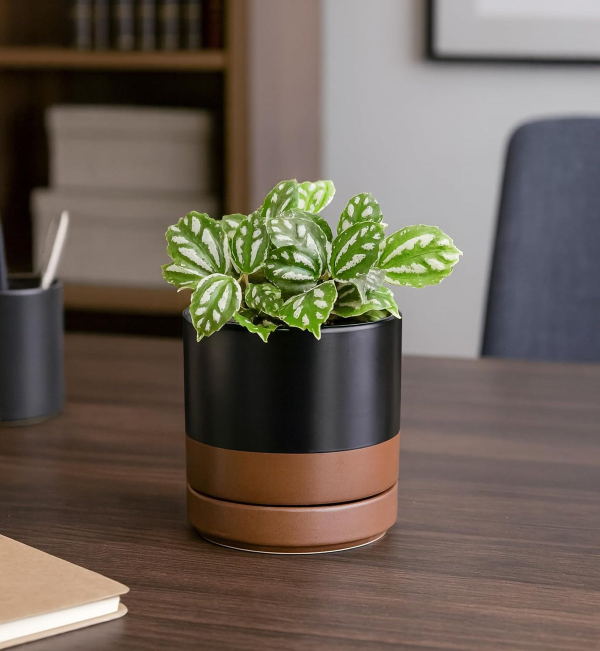 D'vine Dev 4.7 Inch Ceramic Planter Pot with Drainage Hole and Saucer, Indoor Cylinder Round Planter Pot, Teal, 94-O-B-9