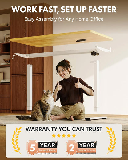 EN1 48"x24" One-Piece Standing Desk, White
