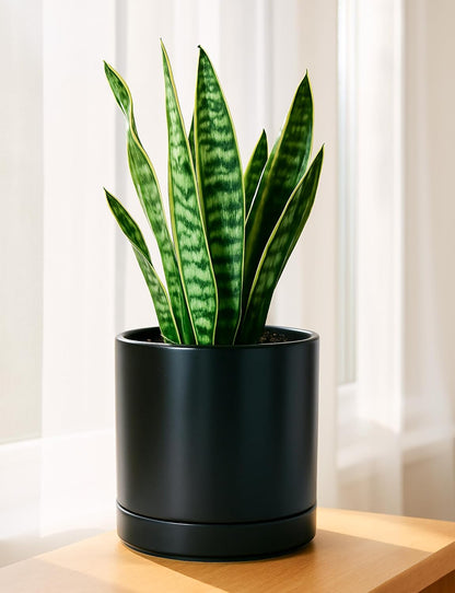 D'vine Dev 4.7 Inch Ceramic Planter Pot with Drainage Hole and Saucer, Indoor Cylinder Round Planter Pot, Teal, 94-O-B-9