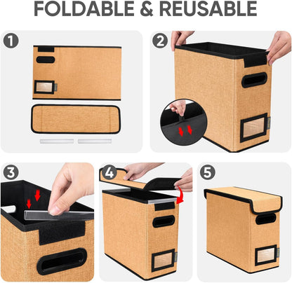 BALEINE File Organizer Box with Lid, Collapsible File Folder Organizer with Plastic Slide, Hanging File Folder Box for Office Document Storage (Black)