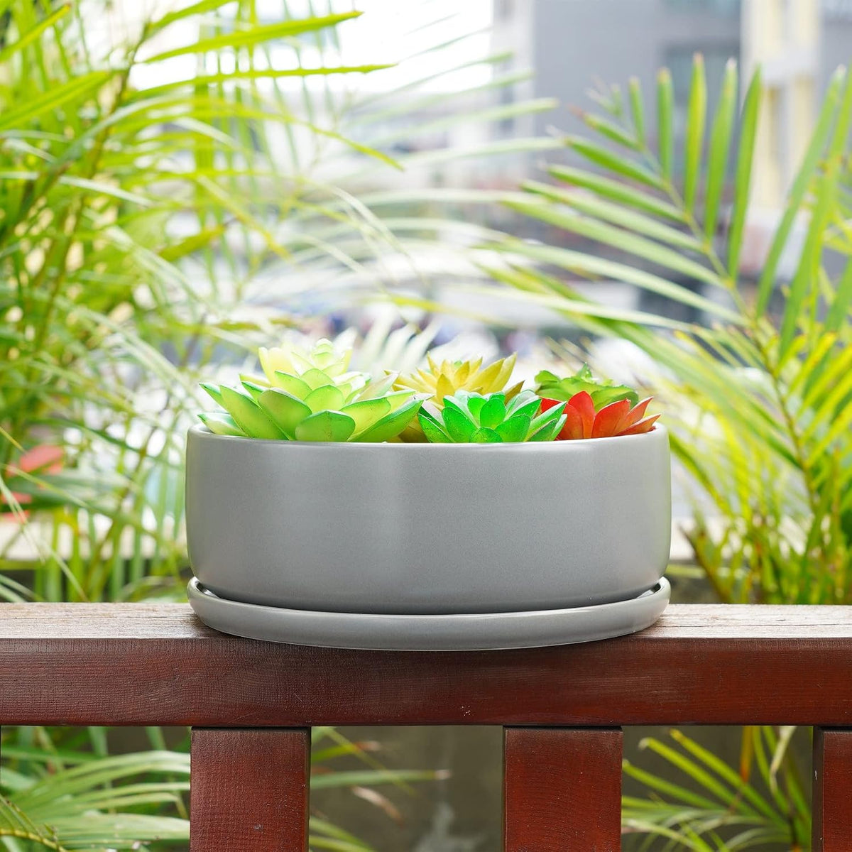 SQOWL 8 inch White Round Ceramic Succulent Planter Pot Modern Flower Cactus herb Big Planter with Removable Saucer Indoor or Outdoor