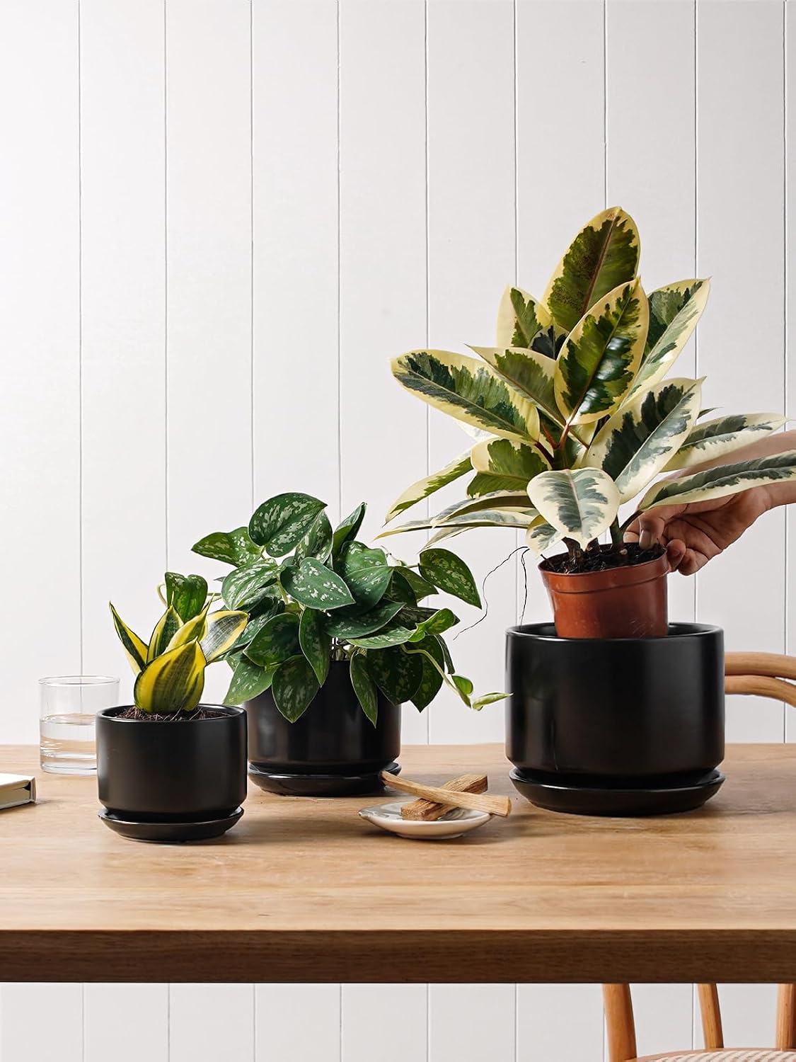 LE TAUCI Ceramic Pots for Plants, 6.8 Inch Plant Pots with Drainage Hole & Saucer, Modern Planter for Indoor Plants, Stable & Durable, Perfect for Living Room or Office Decor, White