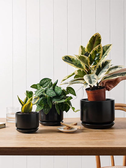 LE TAUCI Ceramic Pots for Plants, 6.8 Inch Plant Pots with Drainage Hole & Saucer, Modern Planter for Indoor Plants, Stable & Durable, Perfect for Living Room or Office Decor, White