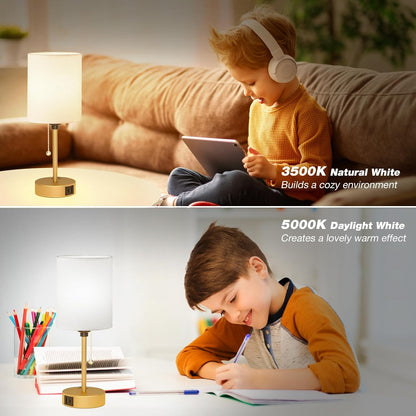 Dicoool Bedside Table Lamp for Bedroom - Small Desk Lamp with USB Ports