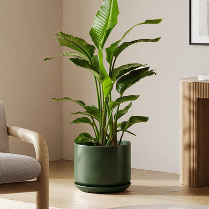 LE TAUCI Ceramic Pots for Plants, 6.8 Inch Plant Pots with Drainage Hole & Saucer, Modern Planter for Indoor Plants, Stable & Durable, Perfect for Living Room or Office Decor, White