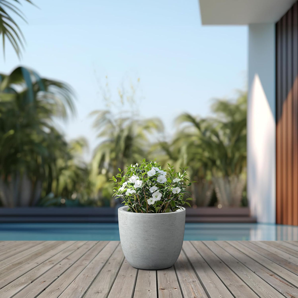 Kante 8.9" H x 10" W Small Concrete Planter, Compact Desktop Plant Pot with Drainage Hole & Rubber Plug – Lightweight Breathable Cement Container for Succulents, Cactus, Herbs, Indoor Outdoor, Gift