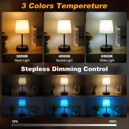 Ascher Small Bedside Table lamp, RGB Color Changing Lamps, 3 Color Temperatures, Dimmable Nightstand Lamp with USB C+A Ports, Touch Desk Lamp for Bedroom Living Room, H11.4in(Flaxen Shade)