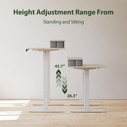 48 * 24 Inch Electric Standing Desk with Shelf & Led, Dark Walnut