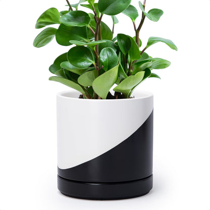D'vine Dev 4.7 Inch Ceramic Planter Pot with Drainage Hole and Saucer, Indoor Cylinder Round Planter Pot, Teal, 94-O-B-9