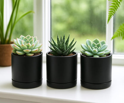 D'vine Dev 4.7 Inch Ceramic Planter Pot with Drainage Hole and Saucer, Indoor Cylinder Round Planter Pot, Teal, 94-O-B-9