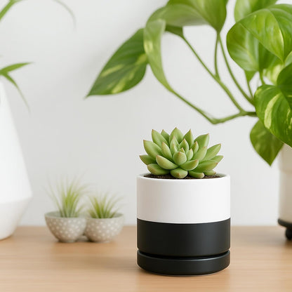 D'vine Dev 4.7 Inch Ceramic Planter Pot with Drainage Hole and Saucer, Indoor Cylinder Round Planter Pot, Teal, 94-O-B-9