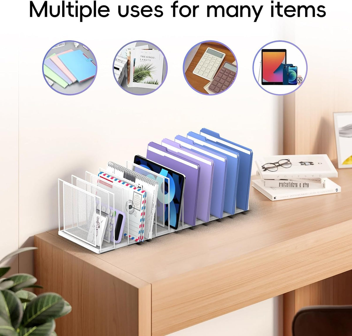 File Organizer for Desk, 5-Section Vertical File Sorter, Paper Holder Organizer Standing Metal File Folder for Office Home Classroom, Black