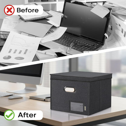 BALEINE File Organizer Box with Lid, Collapsible File Folder Organizer with Plastic Slide, Hanging File Folder Box for Office Document Storage (Black)