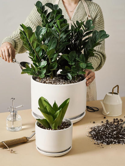 LE TAUCI Ceramic Pots for Plants, 6.8 Inch Plant Pots with Drainage Hole & Saucer, Modern Planter for Indoor Plants, Stable & Durable, Perfect for Living Room or Office Decor, White